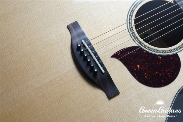 F120-GA Sitka Spruce / African Mahogany