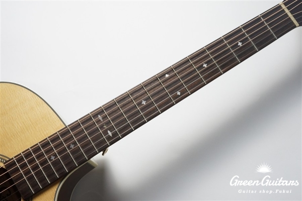 F120-GA Sitka Spruce / African Mahogany