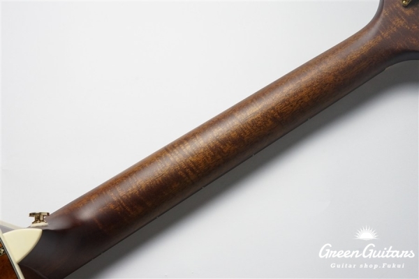 F120-GA Sitka Spruce / African Mahogany