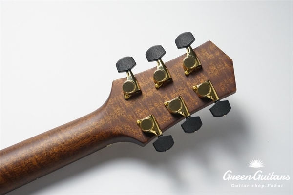 F120-GA Sitka Spruce / African Mahogany