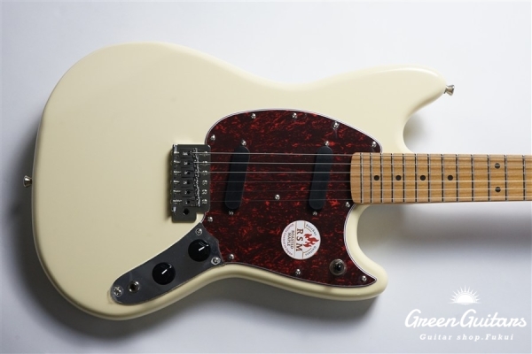 BMS-1-RSM/M-TTPG - OWH