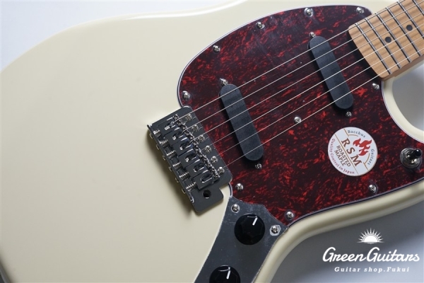 BMS-1-RSM/M-TTPG - OWH