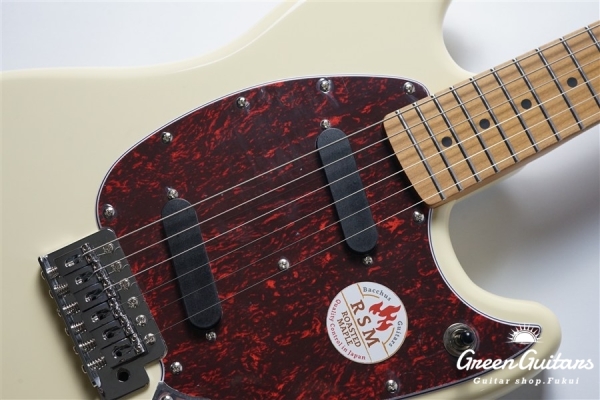 BMS-1-RSM/M-TTPG - OWH