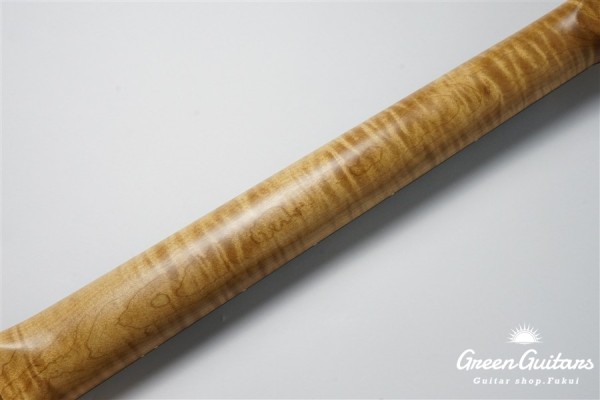 XSC-2 - Faded Shoreline Gold over 3 Tone Burst / Heavy Aged / Alder