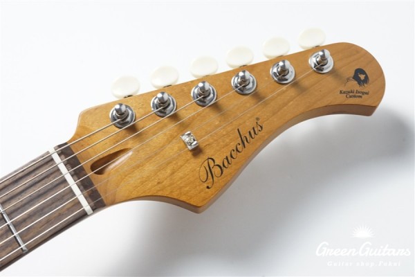 BST-2 KI-RSM/R-CTM - GD