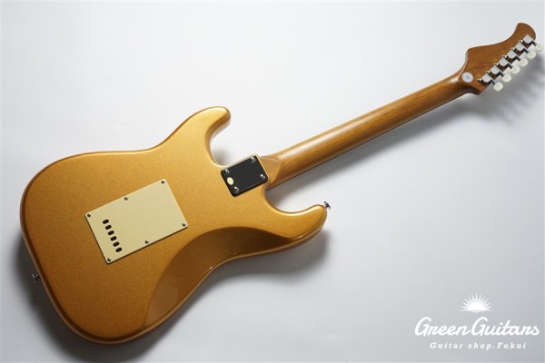 BST-2 KI-RSM/R-CTM - GD