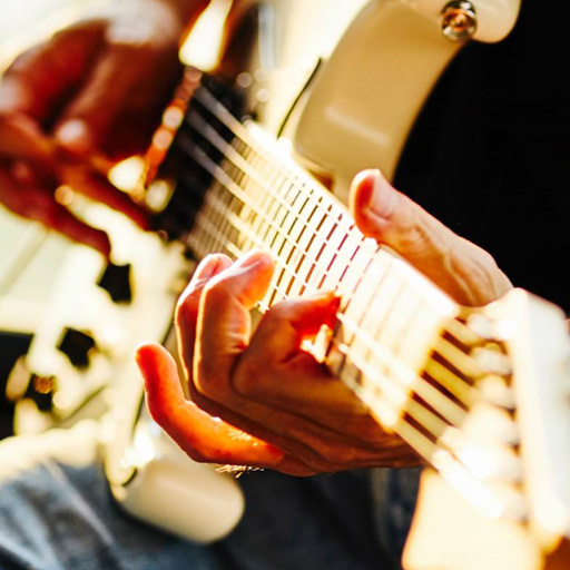 FREEDOM CUSTOM GUITAR RESEARCH商品一覧