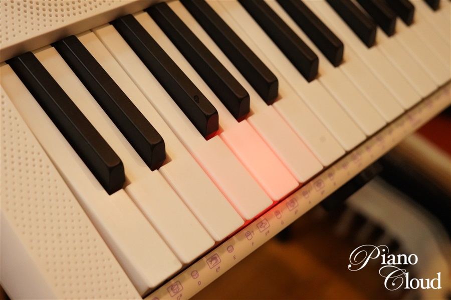 CASIO 光ナビゲーションキーボード LK-315 | Piano Cloud Online Store