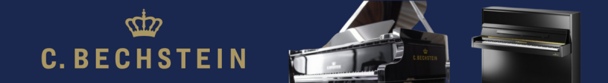 ベヒシュタイン