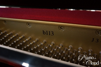 b113
