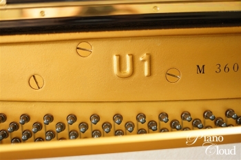 U1M