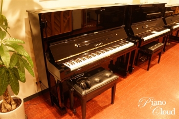U3A(SP)