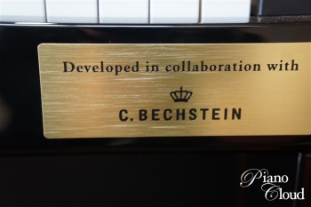 電子ピアノ セルビアーノ GP-510BP