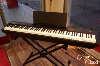 FP-30BK
