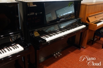 UX30Bl