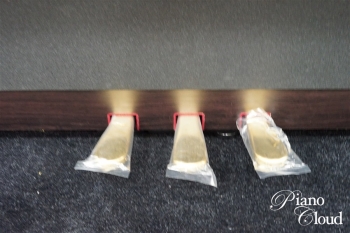 電子ピアノ LX-706 DRS