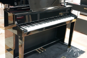 CELVIANO セルビアーノ GP-500 BP