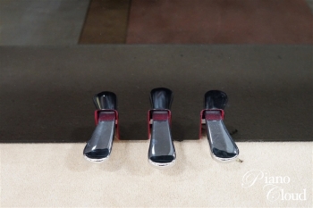 ハイブリッドピアノ NU1X