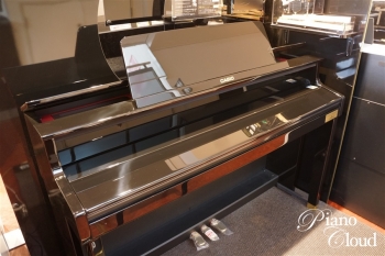 電子ピアノ セルビアーノ GP-510BP