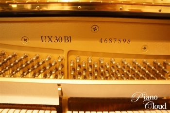 UX30Bl
