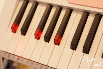 光ナビゲーションキーボード LK-312