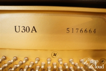 U30A