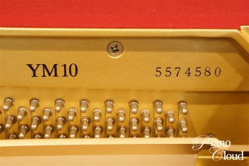 YM10
