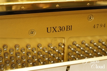 UX30Bl