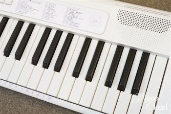 鍵盤楽器 CASIO Casiotone LK-315 LK-315 | CASIO