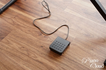 PriviA プリヴィア PX-S1000 BK