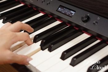 電子ピアノ LX705-DRS