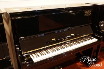 U300