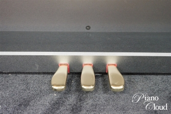 電子ピアノ GP-510 BP CELVIANO