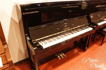 U300