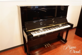 U300