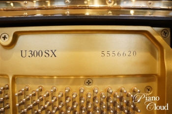 U300SX