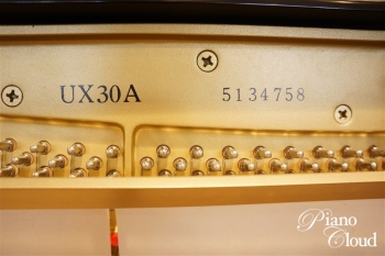 UX30A