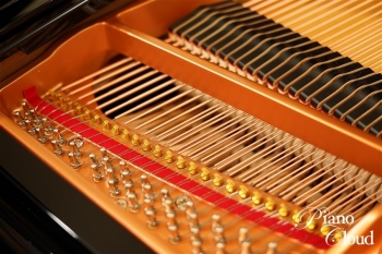 グランドピアノ C3X espressivo