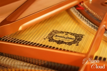 グランドピアノ C3X espressivo