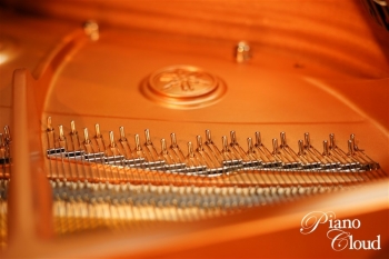 グランドピアノ C3X espressivo