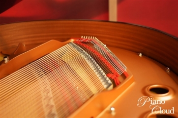 グランドピアノ C3X espressivo