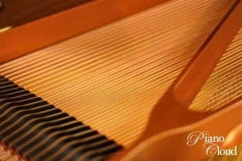 グランドピアノ C3X espressivo