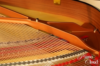 グランドピアノ C3X espressivo