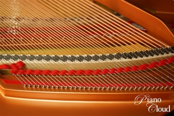 グランドピアノ C3X espressivo