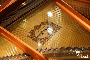 グランドピアノ C3X espressivo