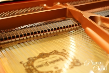 グランドピアノ C3X espressivo