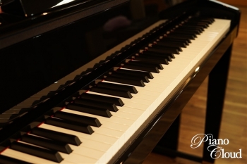 電子ピアノ GP-510BP