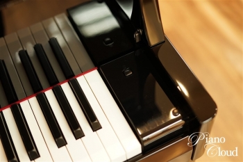 ハイブリッドピアノ N1X