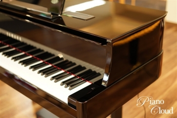 ハイブリッドピアノ N1X