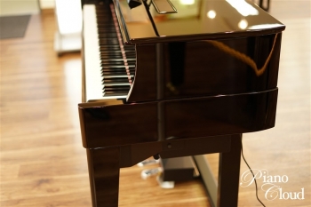 ハイブリッドピアノ N1X